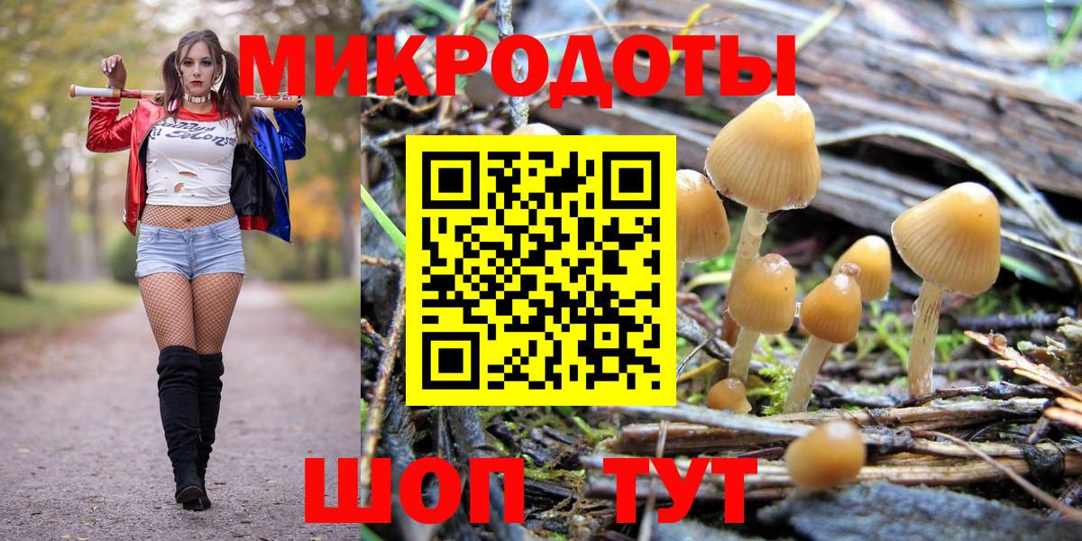 Острогожск  Псилоцибиновые грибы Psilocybine cubensis  Псилоцибиновые грибы прущие грибы  Вход с VPN 